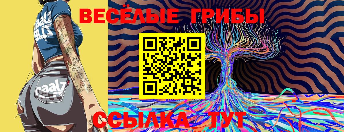 Псилоцибиновые грибы Cubensis Шелехов
